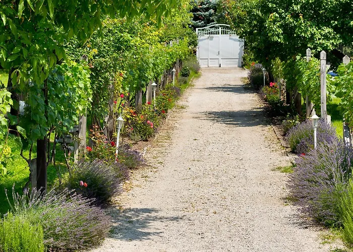 Bed and Breakfast Manor House Inn,